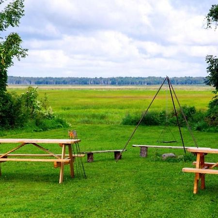 Wilcza Nora - Pole Biwakowe Hotel Dolistowo Nowe Exterior foto